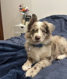 BENNY